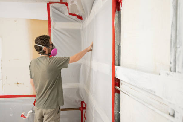 Best Airborne Mold Testing  in North Platte, NE