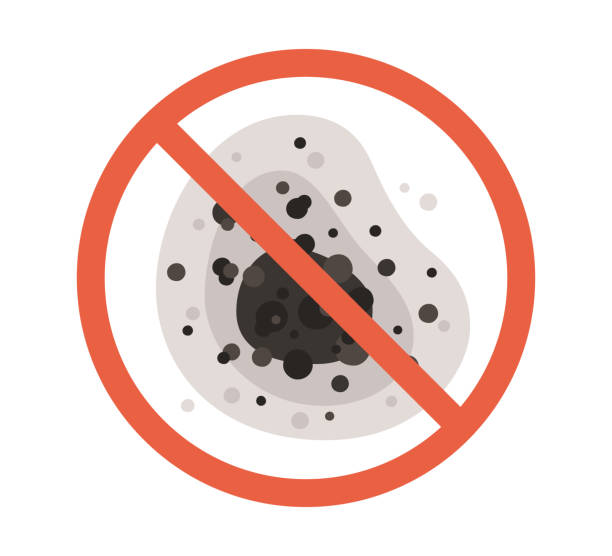 North Platte, NE Mold Removal Company
